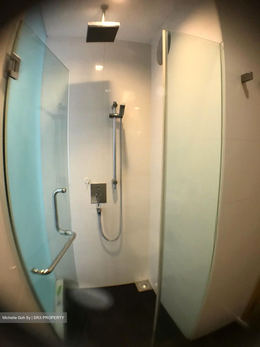 Lumiere (D2), Apartment #441075351